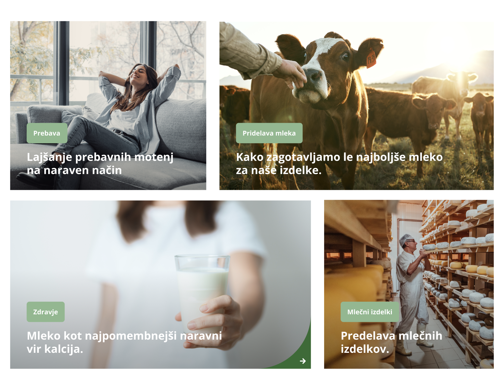 Zelene Doline useful content UI moment